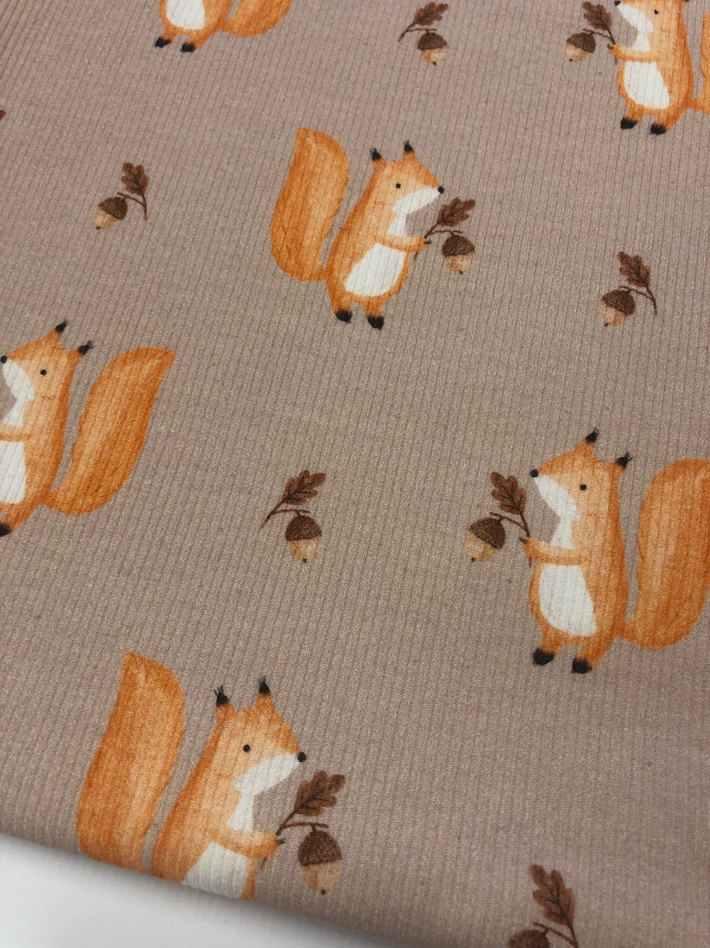 Ribstrick Jersey Digitaldruck Eichhörnchen Bär