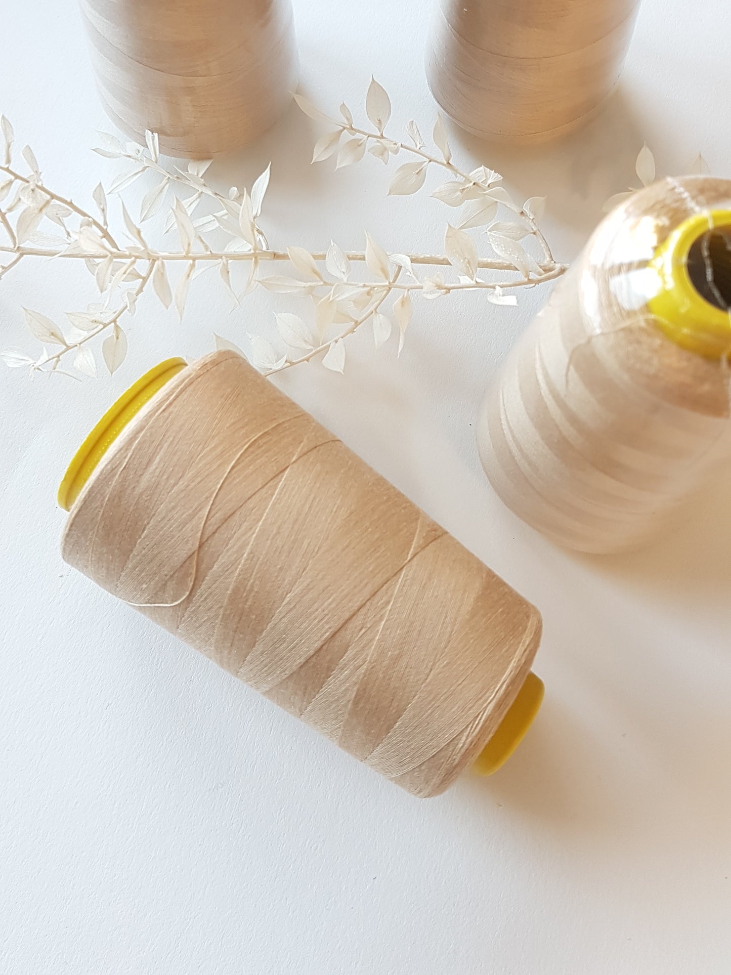 Overlock Garn,4 Spulen,3000yards pro Spule, Beige